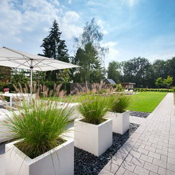 Moderne tuin strak