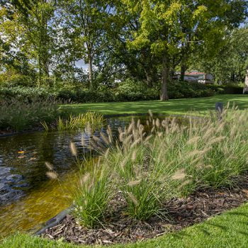 Tuin aanleg Heverlee
