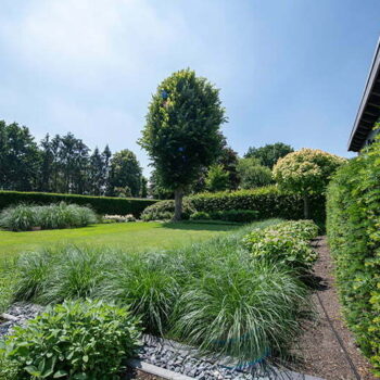 Hovenier Roermond